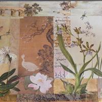 Leidenschaft für Orchideen