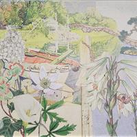 Libellen am Uferrand   