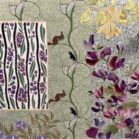 Wicken im grünen Garten